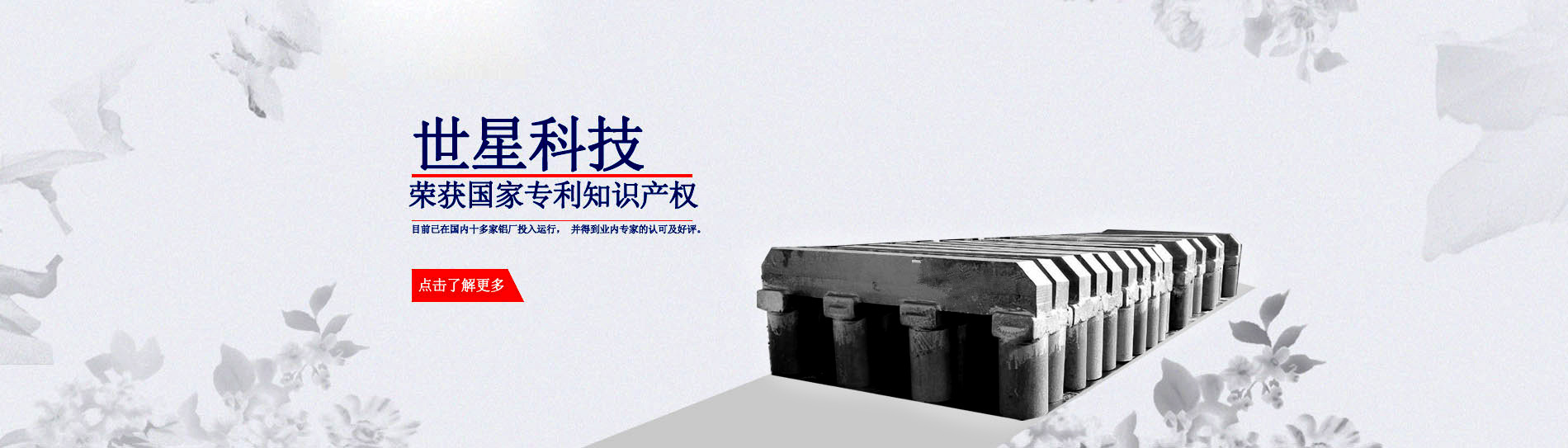 节能型大菠萝福利网站